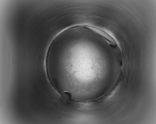 X0000088830959200706141518