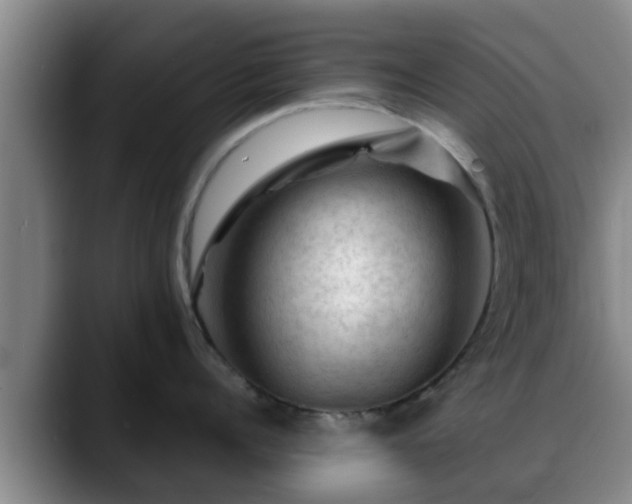 X0000088830960200706141518