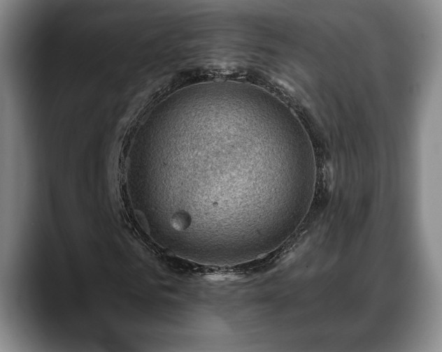 X0000088830961200706141517