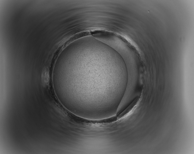 X0000088830969200706141517