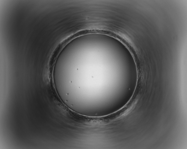X0000088830974200706141517
