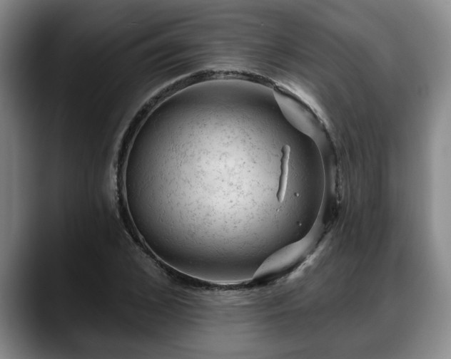 X0000088830976200706141517
