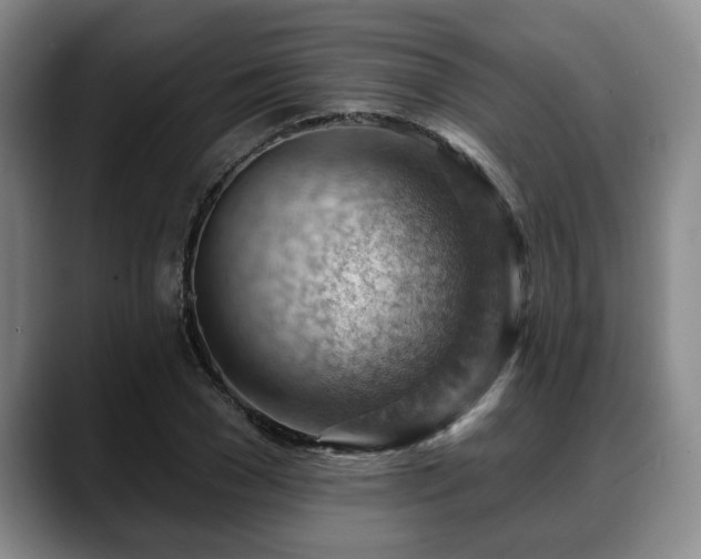 X0000088830977200706141517