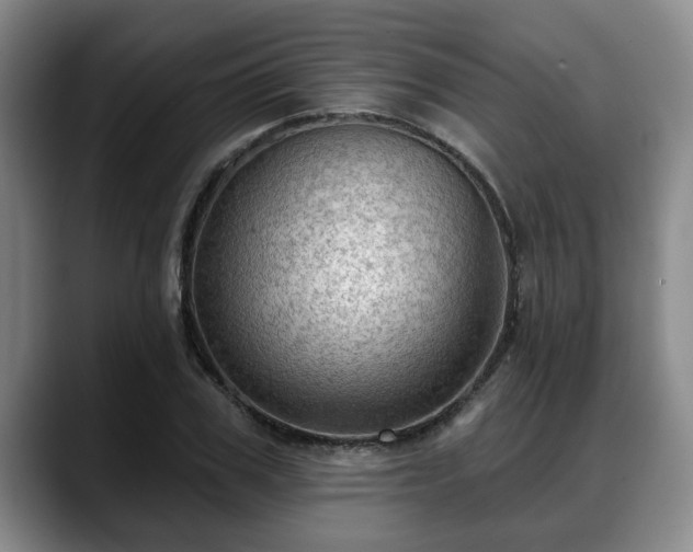 X0000088830979200706141517