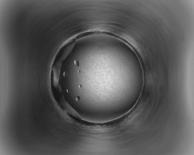 X0000088830980200706141517