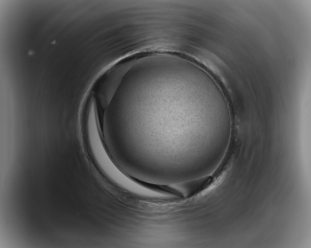 X0000088830981200706141517