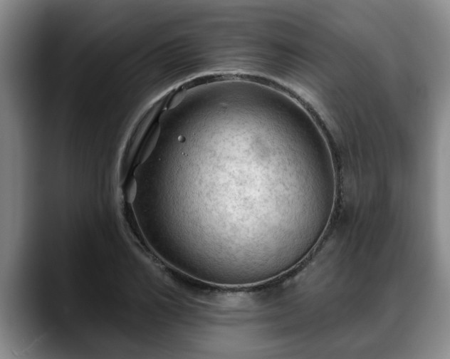 X0000088830982200706141517