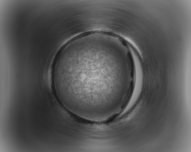 X0000088830983200706141517