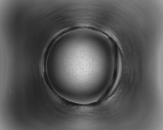 X0000088830984200706141517
