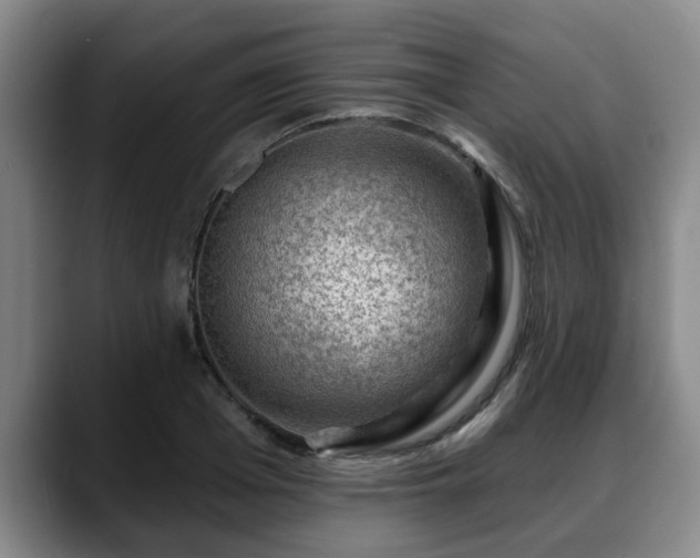 X0000088830985200706141517