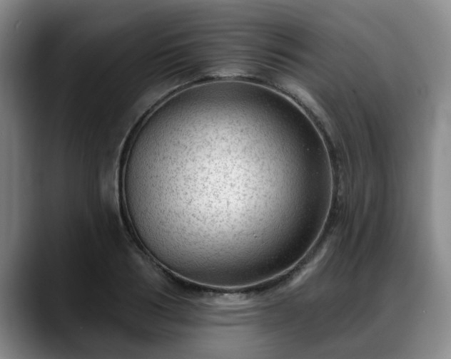 X0000088830986200706141517