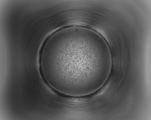 X0000088830987200706141517