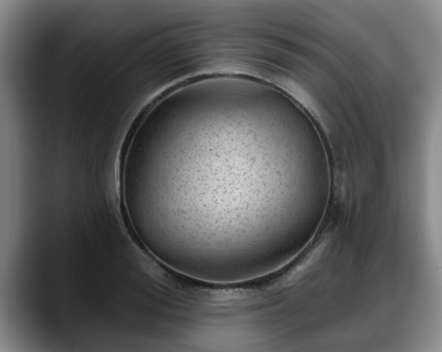 X0000088830988200706141517