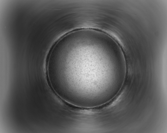 X0000088830990200706141517