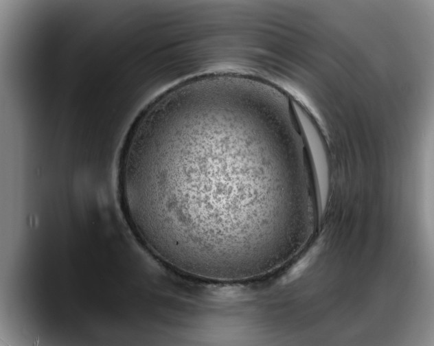 X0000088830991200706141517
