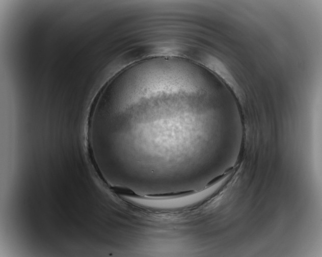 X0000088830994200706141517
