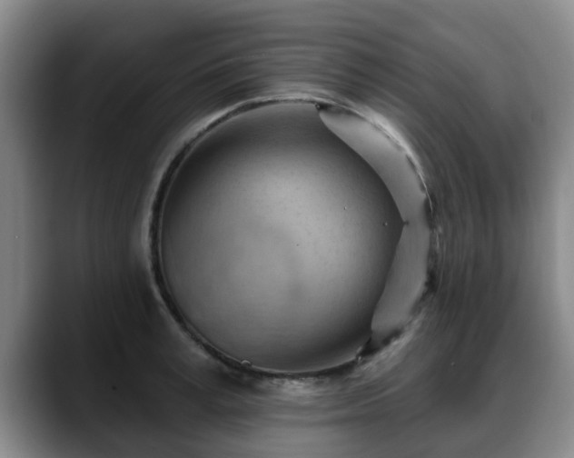 X0000088830995200706141517