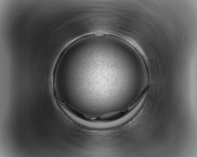 X0000088830996200706141517