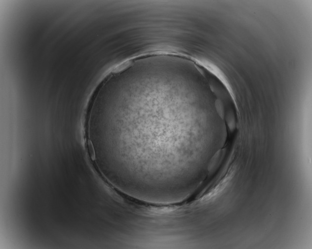 X0000088830997200706141517