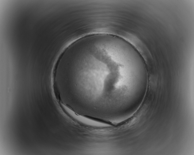 X0000088830998200706141517