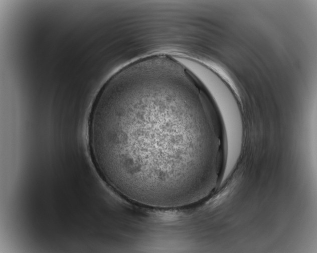 X0000088830999200706141517