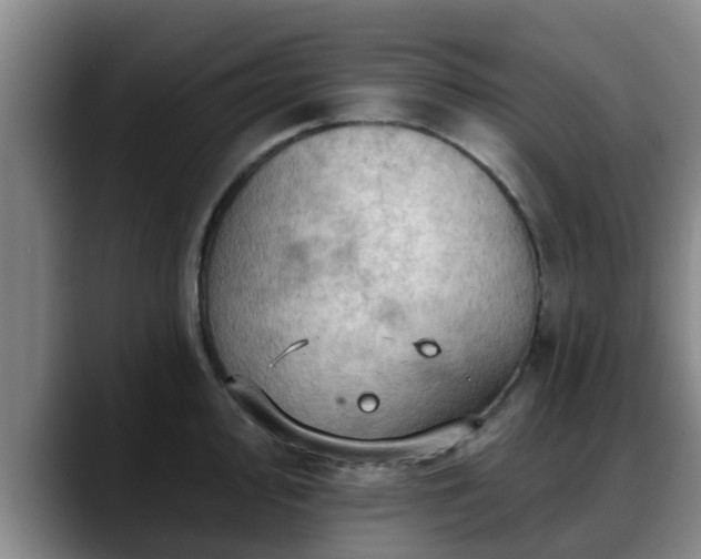 X0000088831000200706141517