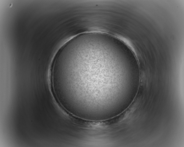 X0000088831003200706141517