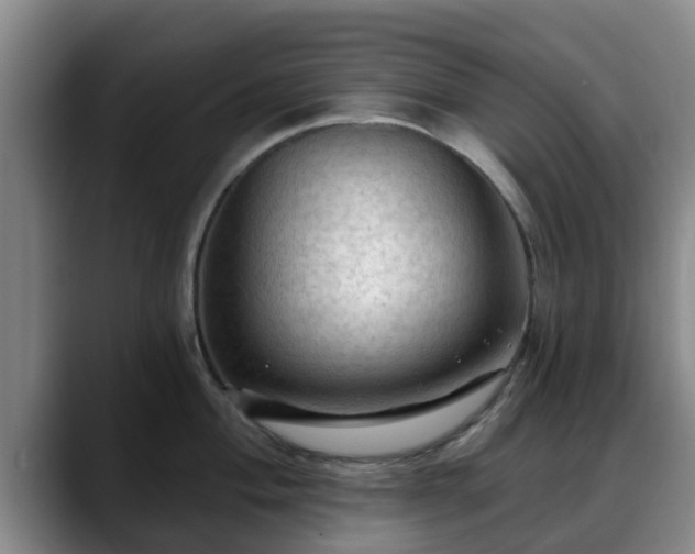 X0000088831004200706141517