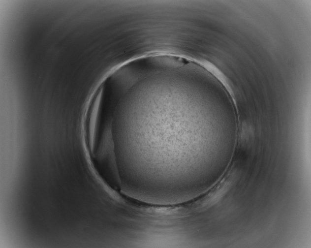 X0000088831005200706141517