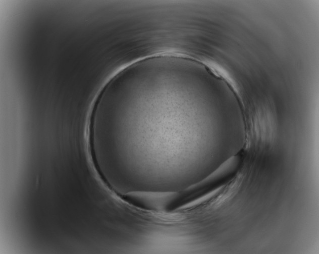 X0000088831007200706141517