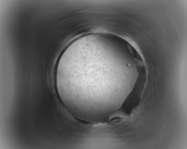 X0000088831008200706141517