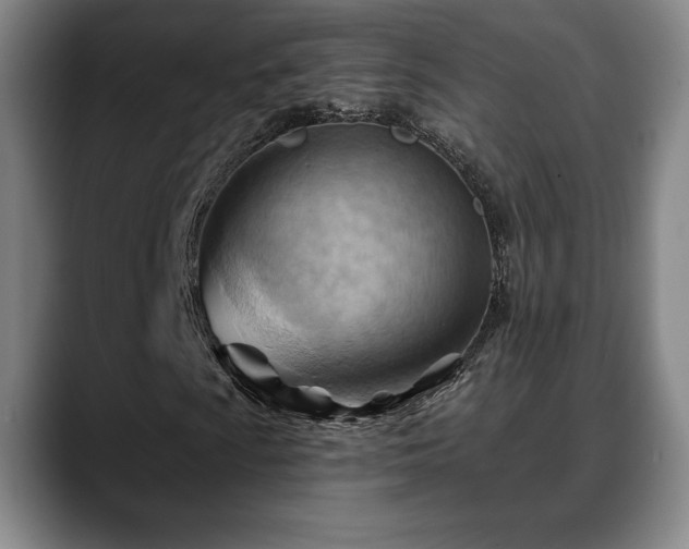 X0000088831009200706141516