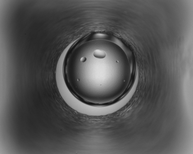 X0000088831010200706141516