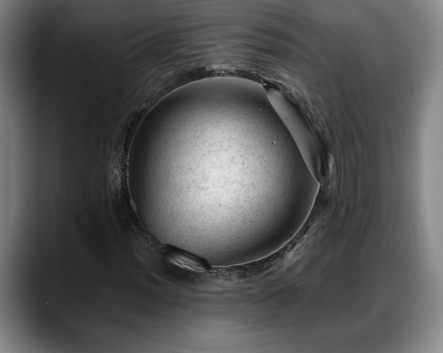 X0000088831012200706141516