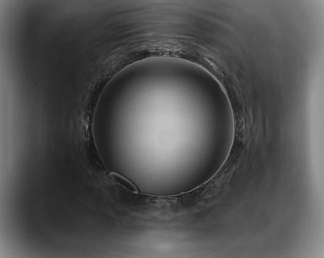 X0000088831013200706141516