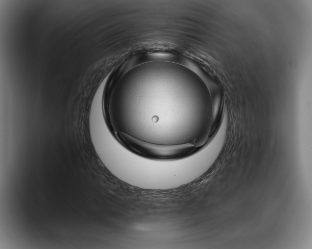 X0000088831014200706141516