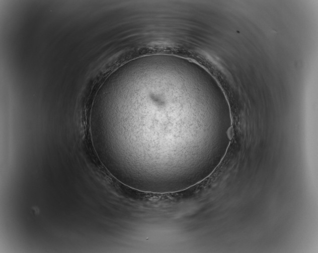 X0000088831015200706141516