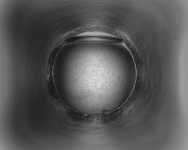 X0000088831016200706141516