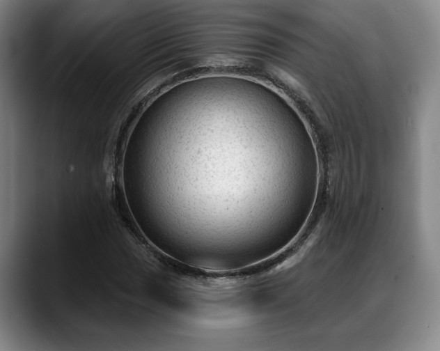 X0000088831017200706141516