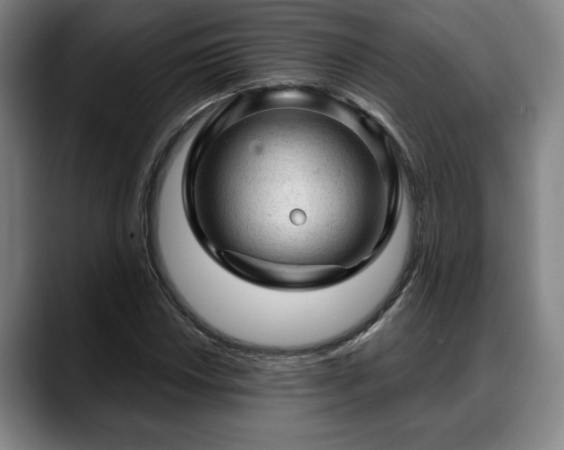 X0000088831018200706141516
