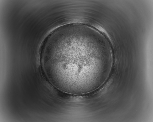 X0000088831019200706141516