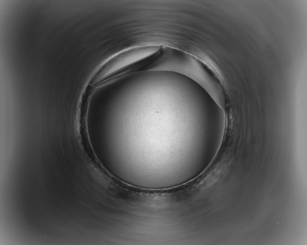 X0000088831020200706141516
