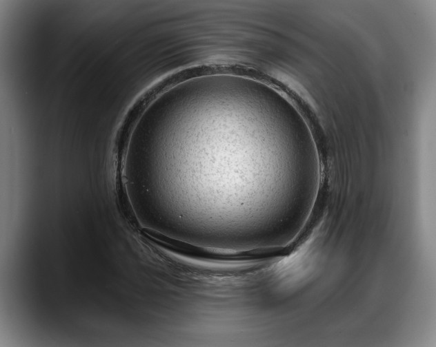 X0000088831021200706141516