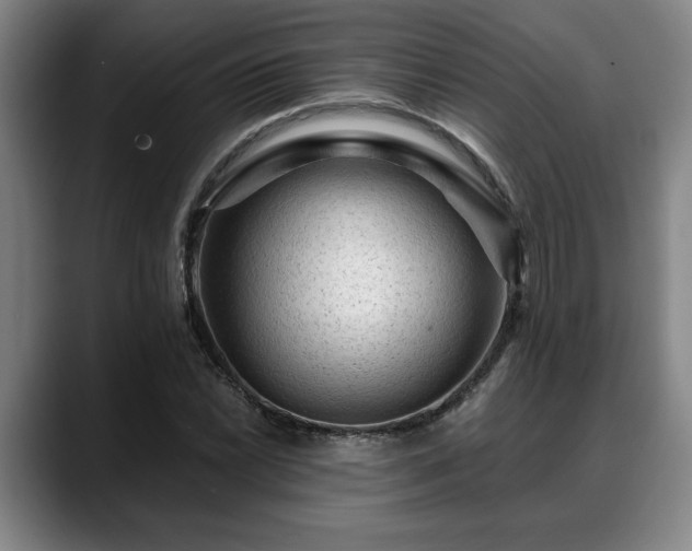X0000088831022200706141517