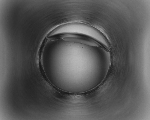 X0000088831024200706141517