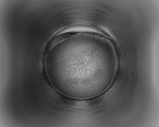 X0000088831025200706141517