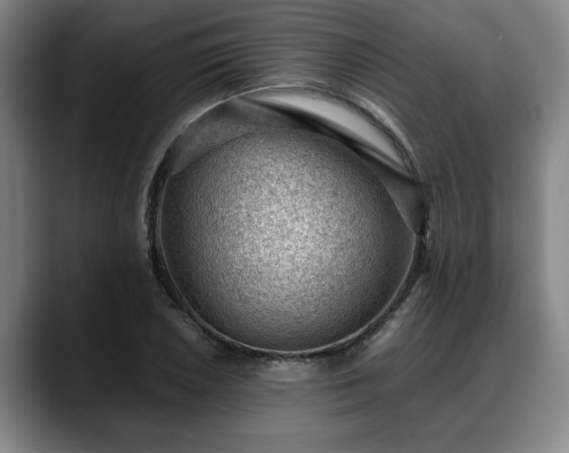 X0000088831026200706141517