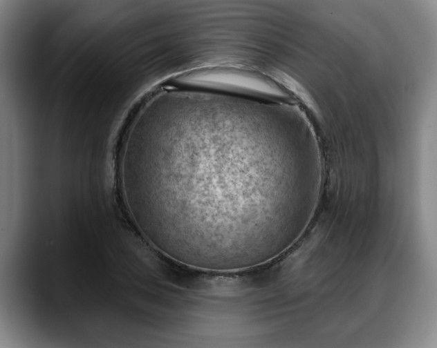 X0000088831027200706141517