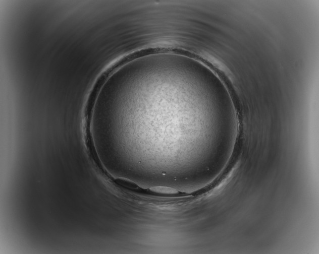 X0000088831029200706141517
