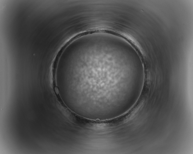 X0000088831031200706141517